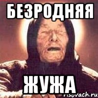 Безродняя Жужа, Мем Ванга (цвет)
