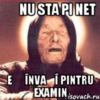 ș nu sta pi net e ș învațî pintru examin, Мем Ванга (цвет)