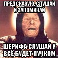 ПРЕДСКАЗУЮ, СЛУШАЙ И ЗАПОМИНАЙ ШЕРИФА СЛУШАЙ И ВСЁ БУДЕТ ПУЧКОМ, Мем Ванга (цвет)