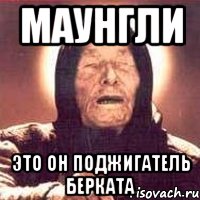 маунгли это он поджигатель Берката, Мем Ванга (цвет)