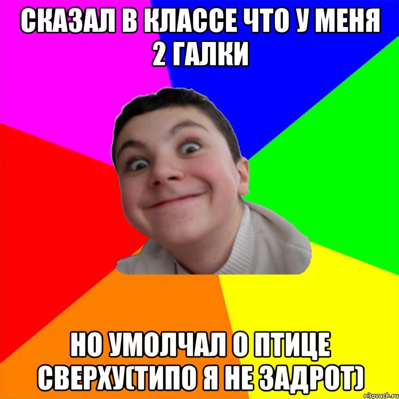 сказал в классе что у меня 2 галки но умолчал о птице сверху(типо я не задрот)