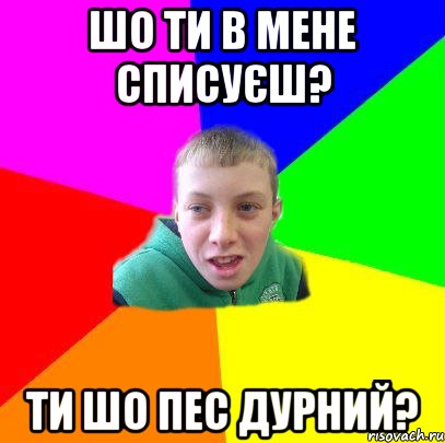 Шо ти в мене списуєш? Ти шо пес дурний?, Мем Вася