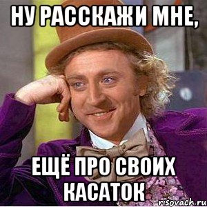 ну расскажи мне, ещё про своих касаток, Мем Ну давай расскажи (Вилли Вонка)