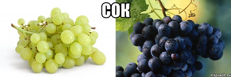 Сок , Мем виноград курильщика