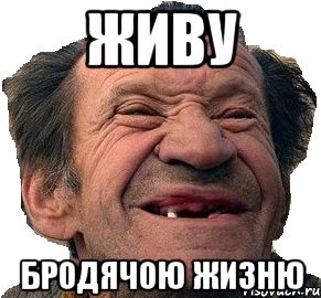 Живу Бродячою Жизню