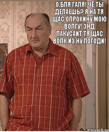 О,бля Галя! Чё ты делаешь? Я на тя щас опрокину мою Волгу! Энд пакусаит тя щас Волк из Ну Погоди!, Комикс Николай Петрович Воронин