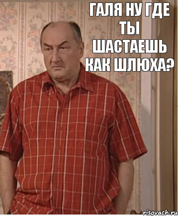 Галя ну где ты шастаешь как шлюха?, Комикс Николай Петрович Воронин