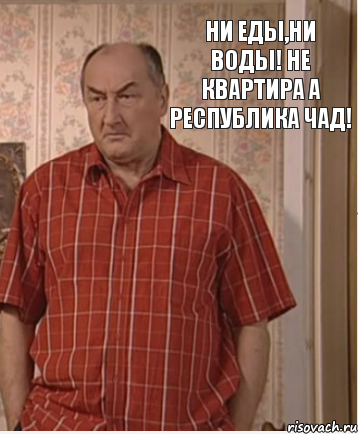 Ни еды,ни воды! Не квартира а республика Чад!, Комикс Николай Петрович Воронин