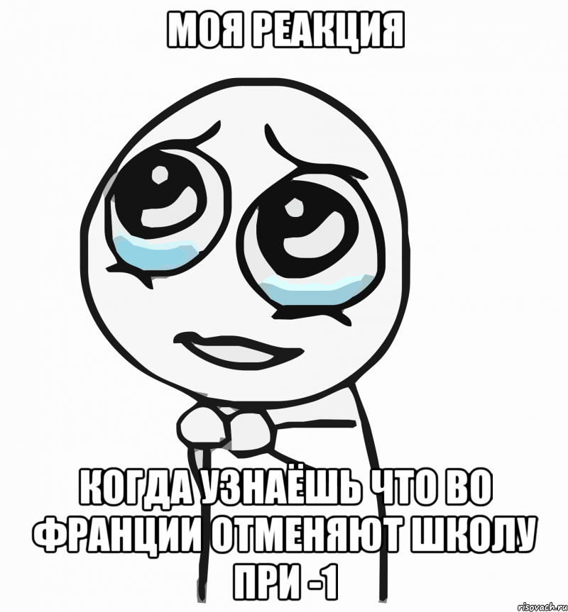 моя реакция когда узнаёшь что во Франции отменяют школу при -1, Мем  ну пожалуйста (please)