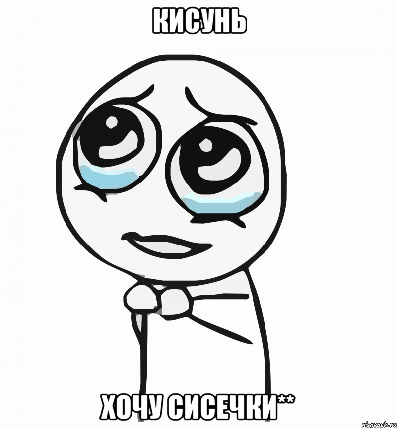 Кисунь Хочу сисечки**, Мем  ну пожалуйста (please)