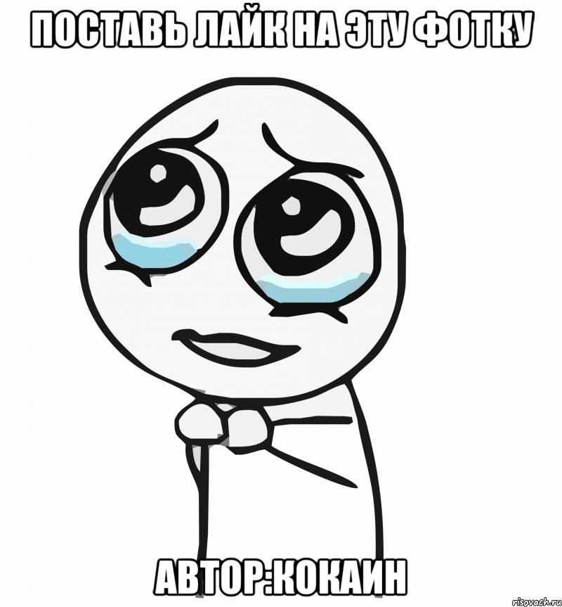 ПОСТАВЬ ЛАЙК НА ЭТУ ФОТКУ АВТОР:КОКАИН, Мем  ну пожалуйста (please)
