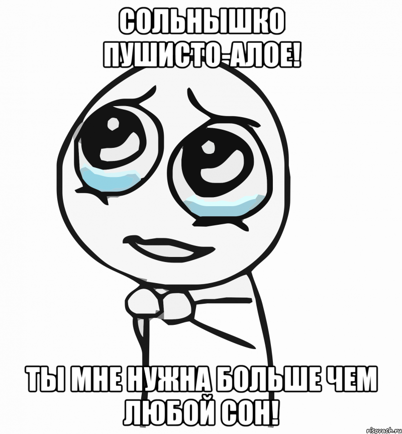 Сольнышко пушисто-алое! Ты мне нужна больше чем любой сон!, Мем  ну пожалуйста (please)