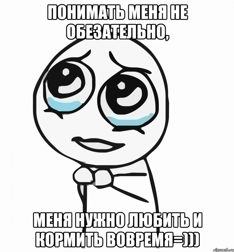 Понимать меня не обезательно, меня нужно любить и кормить вовремя=))), Мем  ну пожалуйста (please)