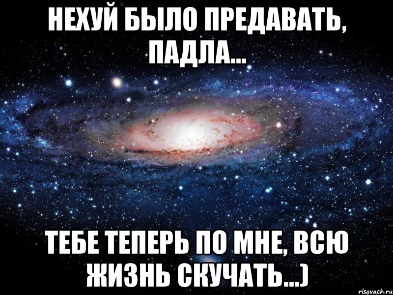 Нехуй было предавать, падла... Тебе теперь по мне, всю жизнь скучать...), Мем Вселенная