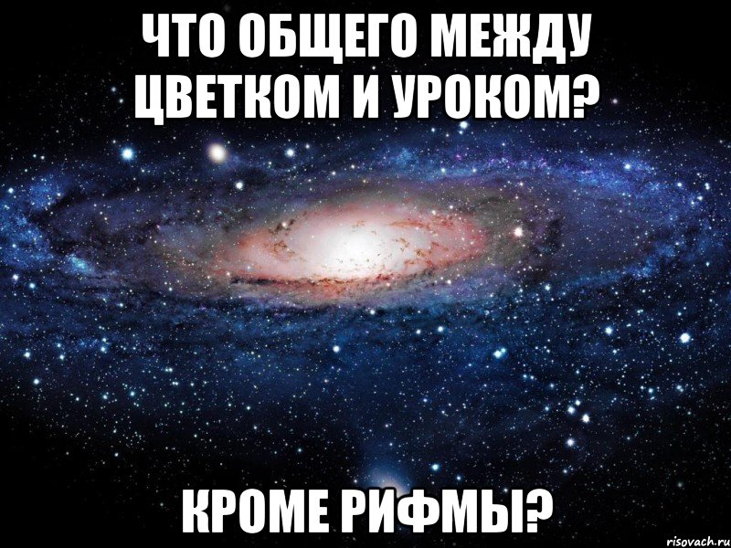 Что общего между цветком и уроком? Кроме рифмы?, Мем Вселенная