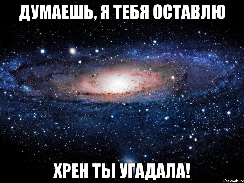 Думаешь, я тебя оставлю Хрен ты угадала!, Мем Вселенная