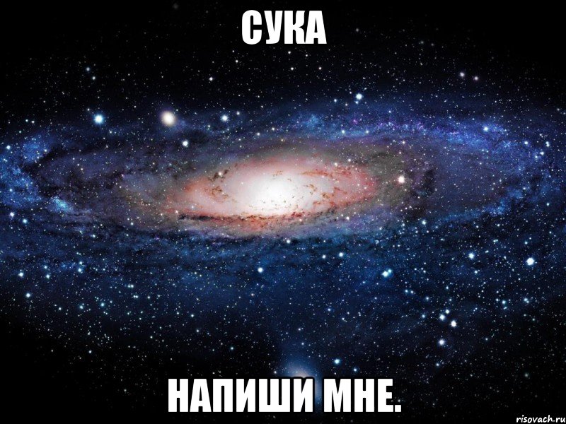 Сука Напиши мне., Мем Вселенная