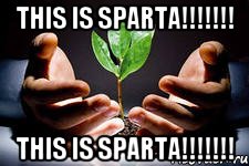 This is sparta!!!!!!! This is sparta!!!!!!!, Мем вырасти свое денежное дерево