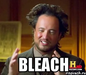  Bleach, Мем Women