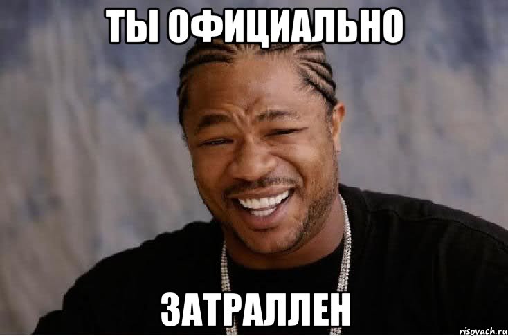 ты официально затраллен, Мем xzibit