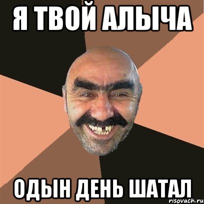 я твой алыча одын день шатал, Мем Я твой дом труба шатал