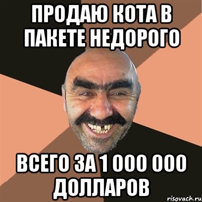ПРОДАЮ КОТА В ПАКЕТЕ НЕДОРОГО ВСЕГО ЗА 1 000 000 ДОЛЛАРОВ, Мем Я твой дом труба шатал