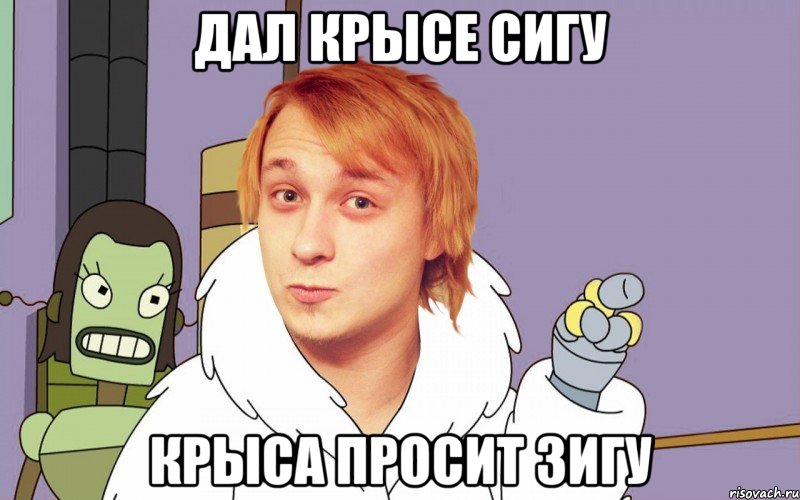 Дал крысе сигу крыса просит зигу