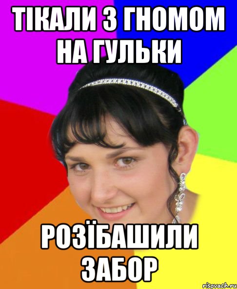 тікали з гномом на гульки розїбашили забор