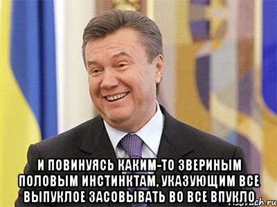  и повинуясь каким-то звериным половым инстинктам, указующим все выпуклое засовывать во все впукло, Мем Янукович