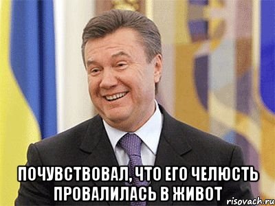  почувствовал, что его челюсть провалилась в живот, Мем Янукович