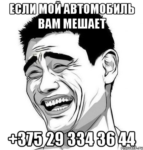 Если мой автомобиль Вам мешает +375 29 334 36 44, Мем Яо Мин