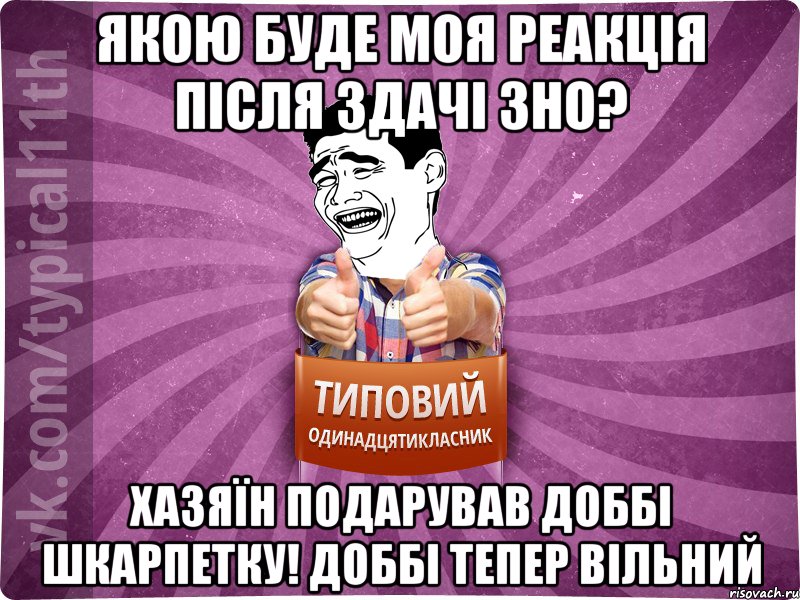 Якою буде моя реакція після здачі ЗНО? Хазяїн подарував доббі шкарпетку! доббі тепер вільний