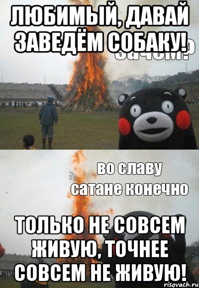Любимый, давай заведём собаку! Только не совсем живую, точнее совсем не живую!