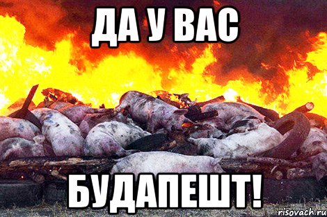 да у вас будапешт!, Мем Зал УПА