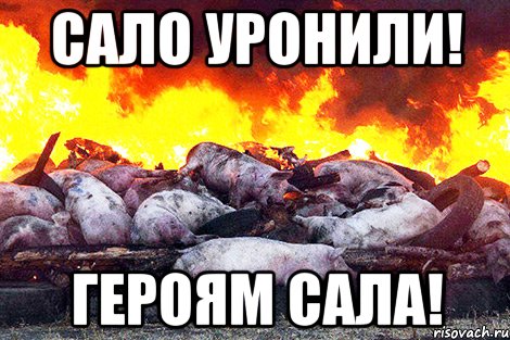 сало уронили! героям сала!, Мем Зал УПА