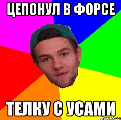 цепонул в форсе телку с усами