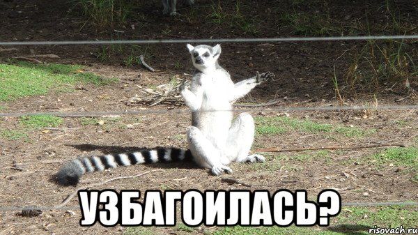  УЗБАГОИЛАСЬ?