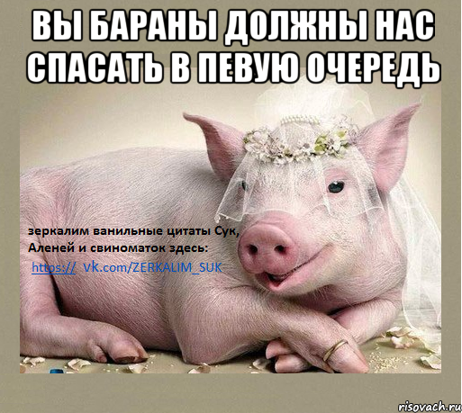 вы бараны должны нас спасать в певую очередь 