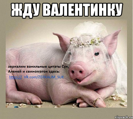 жду валентинку 