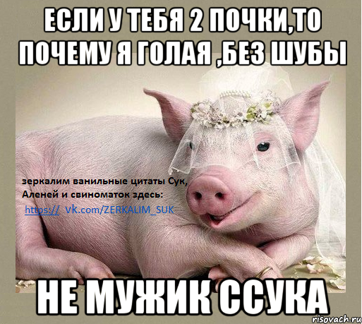 если у тебя 2 почки,то почему я голая ,без шубы не мужик ссука