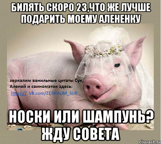 билять скоро 23,что же лучше подарить моему алененку носки или шампунь? жду совета