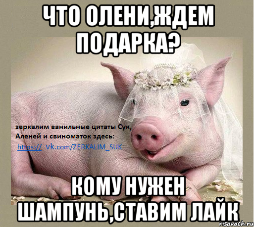 Что Олени,ждем подарка? кому нужен шампунь,ставим лайк