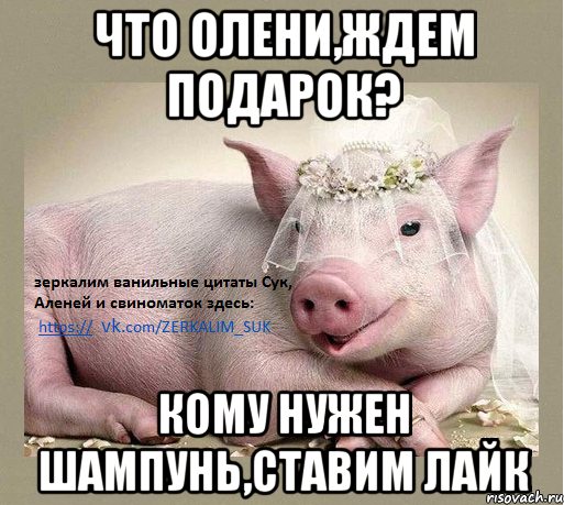 Что Олени,ждем подарок? кому нужен шампунь,ставим лайк