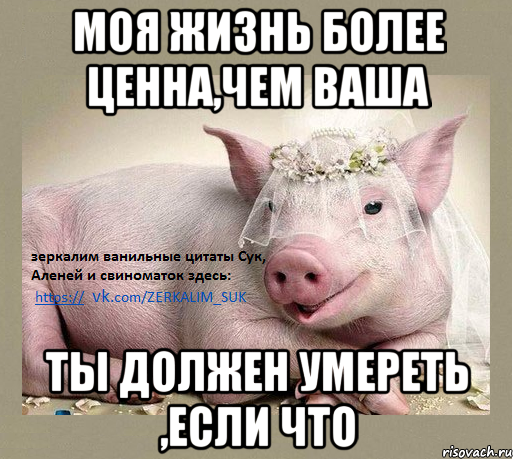 моя жизнь более ценна,чем ваша ты должен умереть ,если что