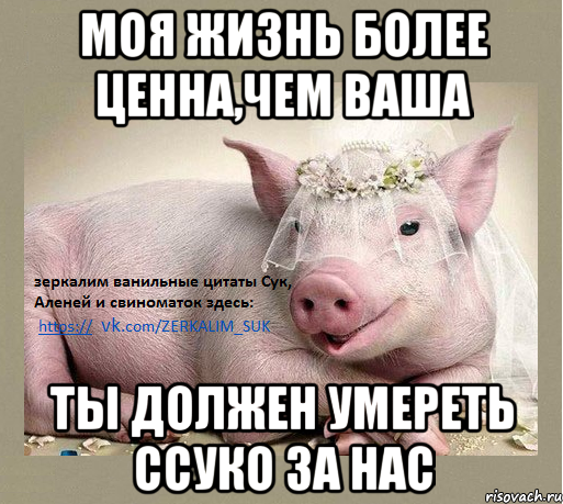 моя жизнь более ценна,чем ваша ты должен умереть ссуко за нас