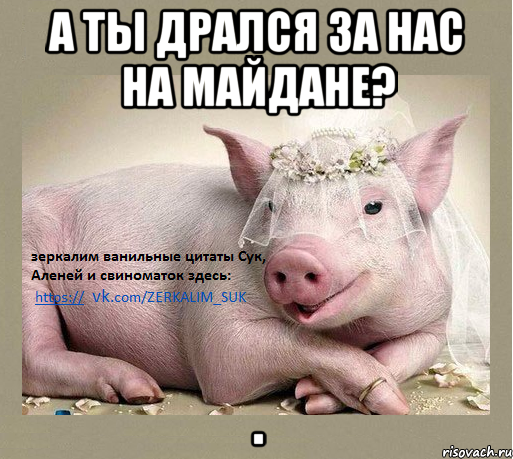 а ты дрался за нас на майдане? .