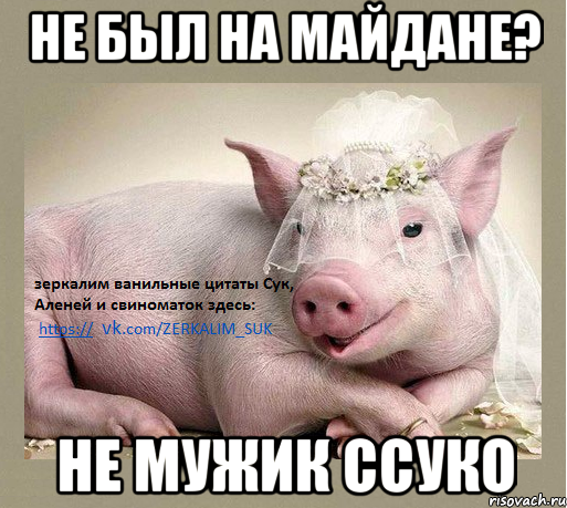 не был на майдане? не мужик ссуко