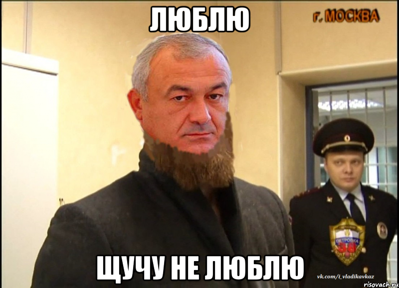 люблю щучу не люблю, Мем ждрш