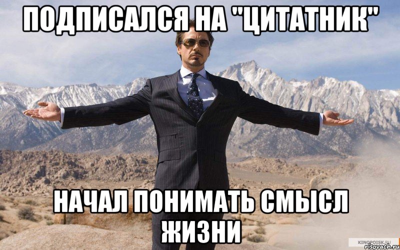 Подписался на "Цитатник" Начал понимать смысл жизни, Мем железный человек