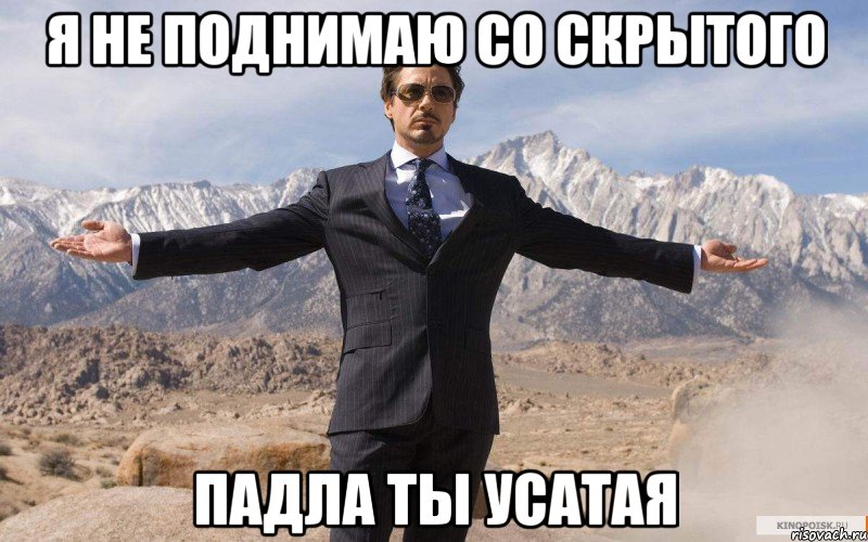 Я НЕ ПОДНИМАЮ СО СКРЫТОГО ПАДЛА ТЫ УСАТАЯ, Мем железный человек